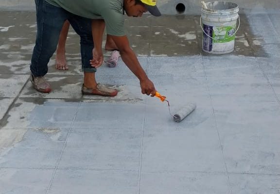 WhatsApp Image 2024-08-01 at 20.43.08