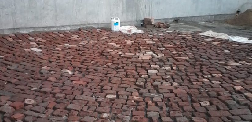 WhatsApp Image 2024-08-01 at 20.58.24